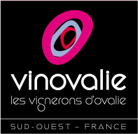 Vinovalie