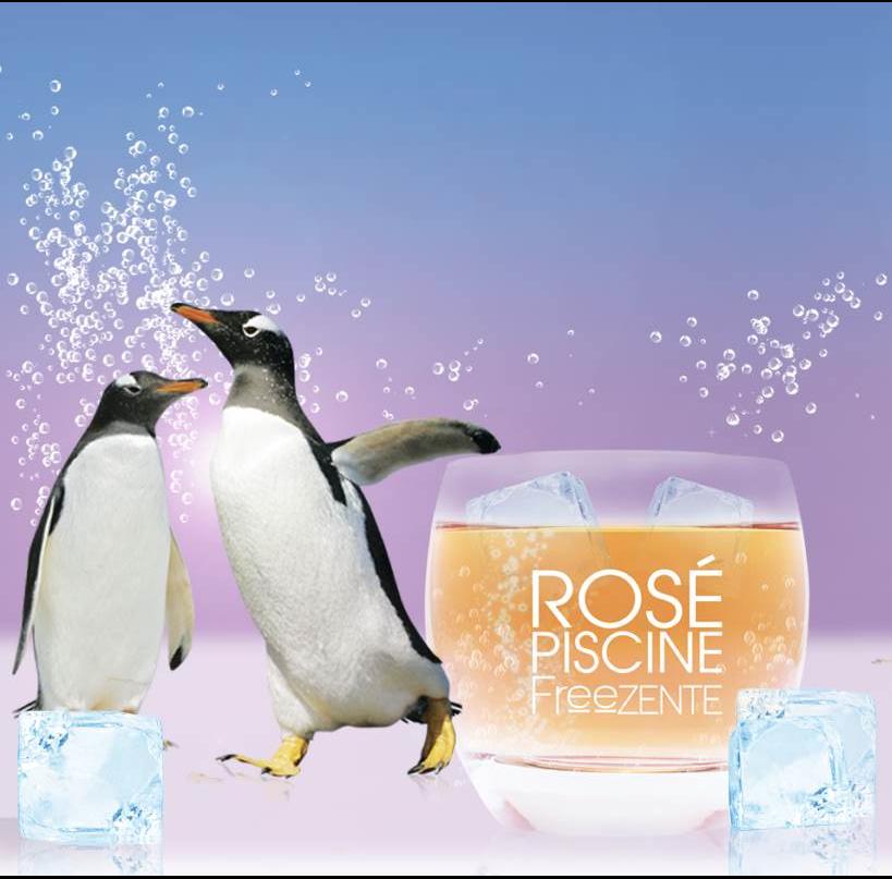 Rose Piscine Freez Vinovalie