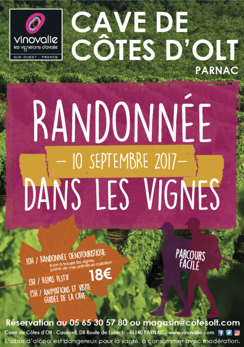 randonnées dans les vignes