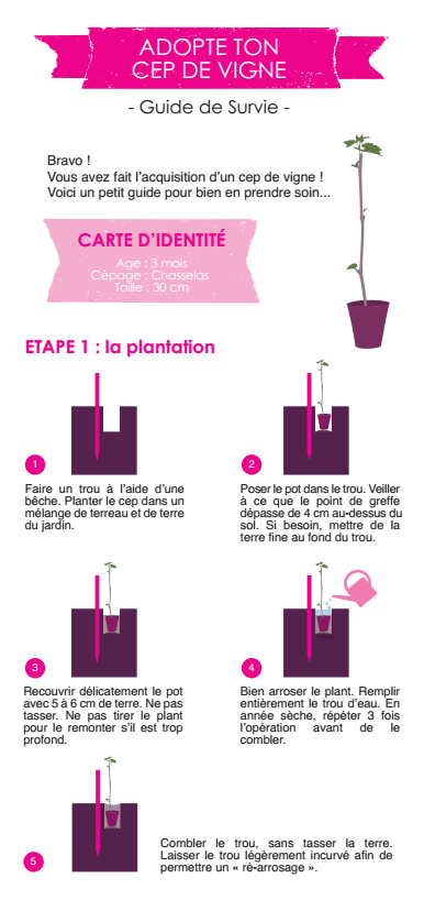 guide de survie adopte ton cep de vigne page 1