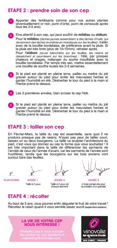 guide de survie adopte ton cep de vigne page 2