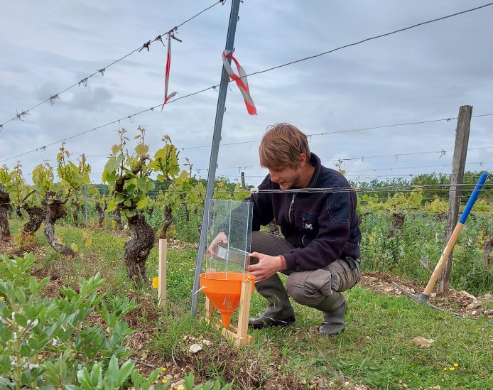 étude de la biodiversité des vignes