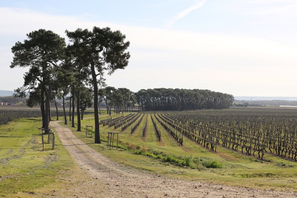 Château Marguerite certifié HVE3