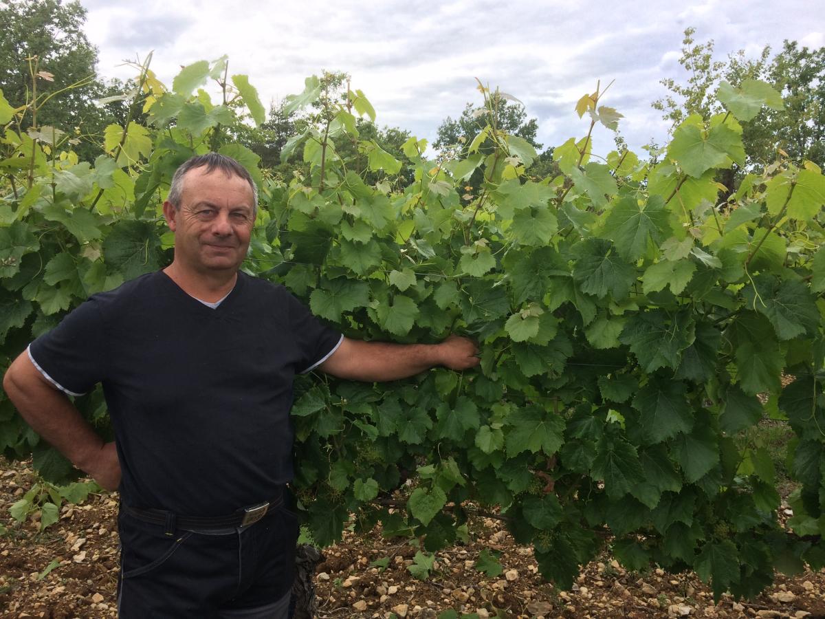Eric Bellin, viticulteur pour le domaine Lapoujade, groupe Vinovalie