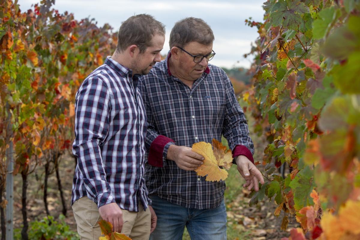 Famille Constans Château Montauriol certifié HVE3