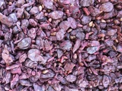 marc de raisin rouge