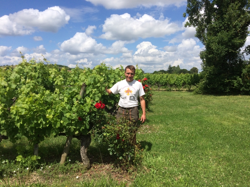 Certification haute valeur environnementale du Domaine Germaine Malet