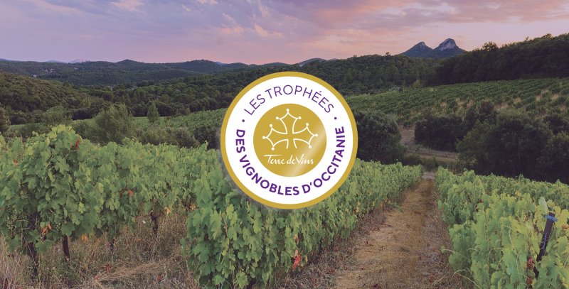 trophées des vignobles d'occitanie Vinovalie