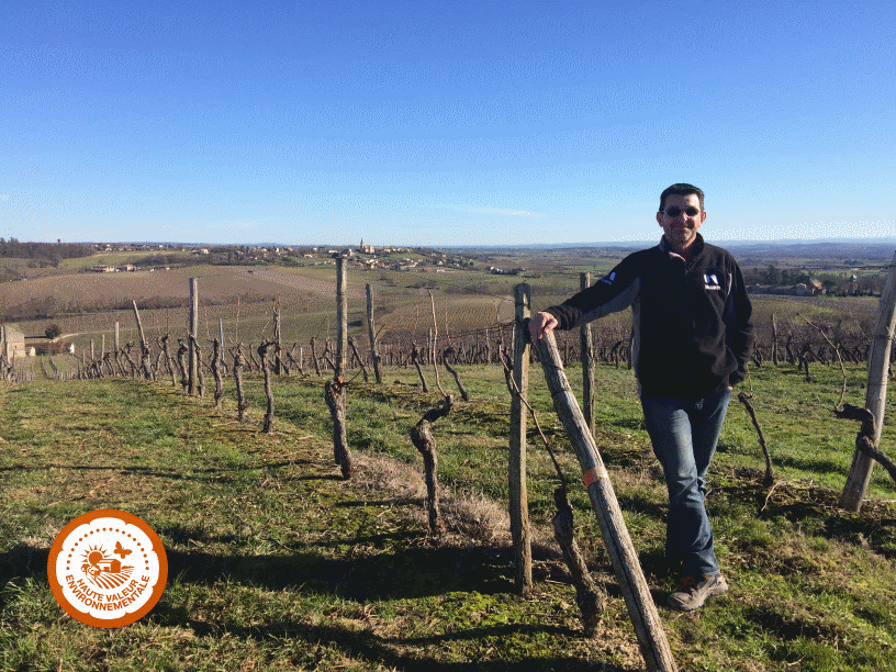 Laurent Aza, chef de culture au Château Candastre, dans les vignes totalement enherbées pour l’hiver.