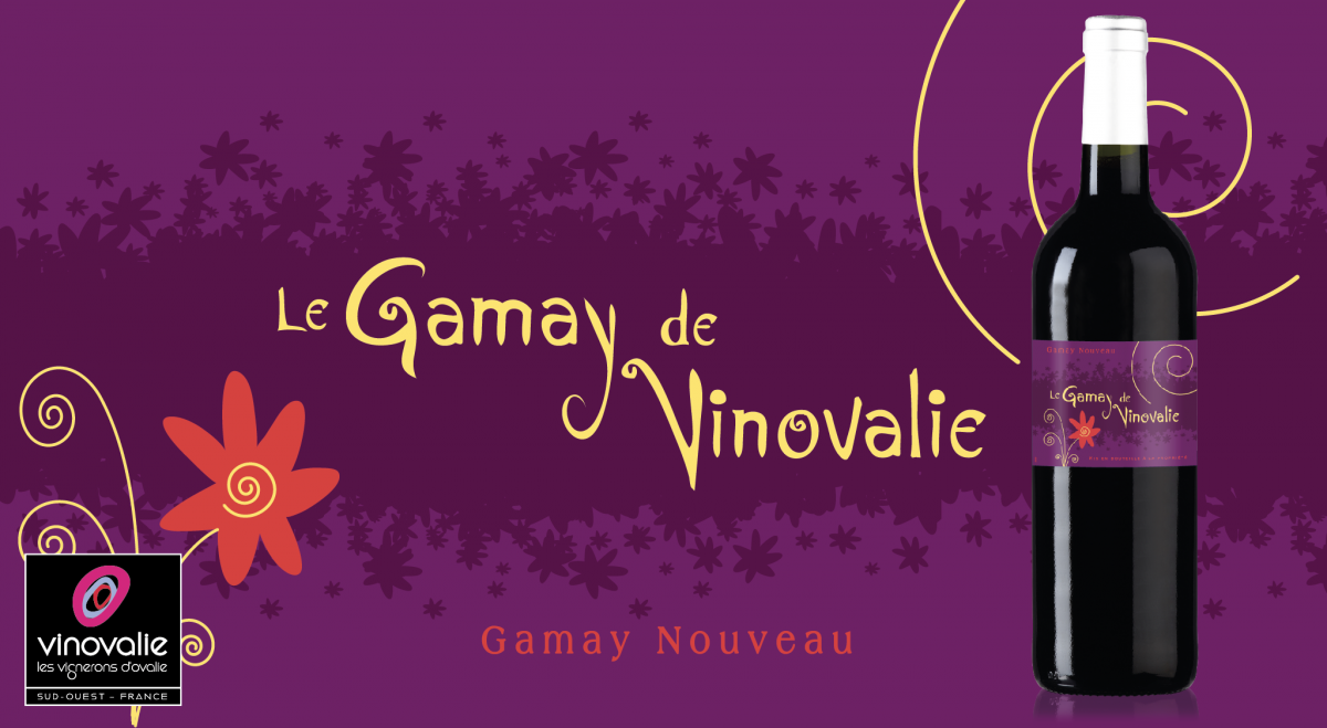 Gamay Nouveau Vinovalie à retrouver chez votre caviste